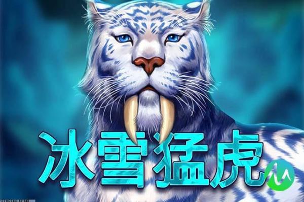 《梦幻西游》特技搭配推荐与实战解析